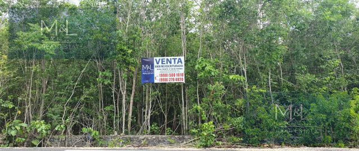 Foto de terreno habitacional en , doctores ii, benito juárez, quintana roo, 6999518 foto 02 Foto de terreno habitacional en venta en , doctores ii, benito juárez, quintana roo, 6999518 No. 02