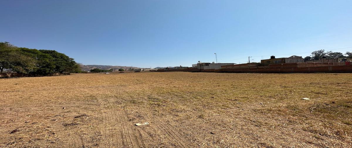 Foto de terreno habitacional en venta en doctores , real de tesistán, zapopan, jalisco, 0 No. 04