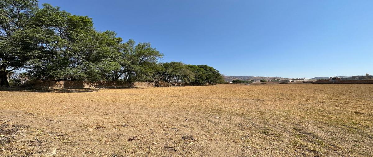 Foto de terreno habitacional en venta en doctores , real de tesistán, zapopan, jalisco, 0 No. 05