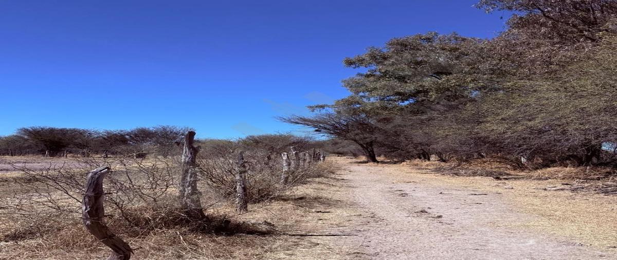 Foto de terreno habitacional en venta en  , dolores hidalgo, durango, durango, 0 No. 06