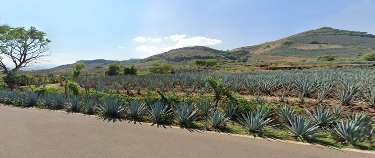 Foto de terreno habitacional en venta en dom conocido , amatitan, amatitán, jalisco, 0 No. 05
