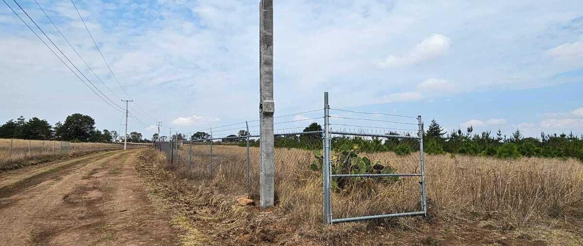 Foto de terreno comercial en dom conocido amealco , la cruz, amealco de bonfil, querétaro, 30028896 foto 02 Foto de terreno comercial en venta en dom conocido amealco , la cruz, amealco de bonfil, querétaro, 30028896 No. 02