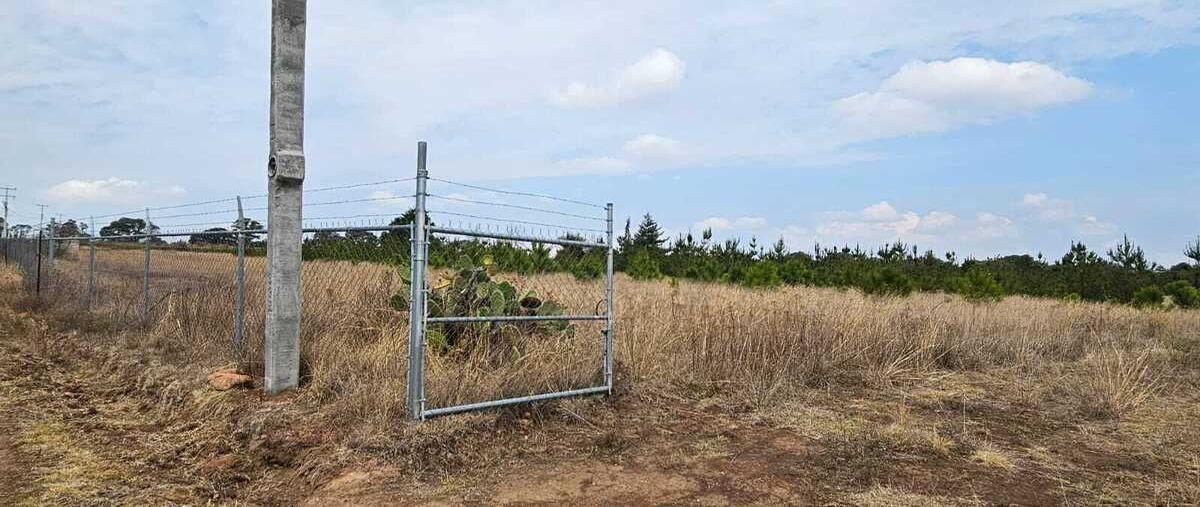 Foto de terreno comercial en dom conocido amealco , la cruz, amealco de bonfil, querétaro, 30028896 foto 04 Foto de terreno comercial en venta en dom conocido amealco , la cruz, amealco de bonfil, querétaro, 30028896 No. 04