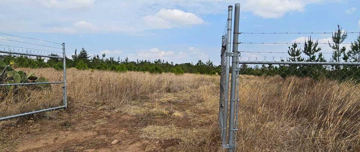 Foto de terreno comercial en dom conocido amealco , la cruz, amealco de bonfil, querétaro, 30028896 foto 05 Foto de terreno comercial en venta en dom conocido amealco , la cruz, amealco de bonfil, querétaro, 30028896 No. 05