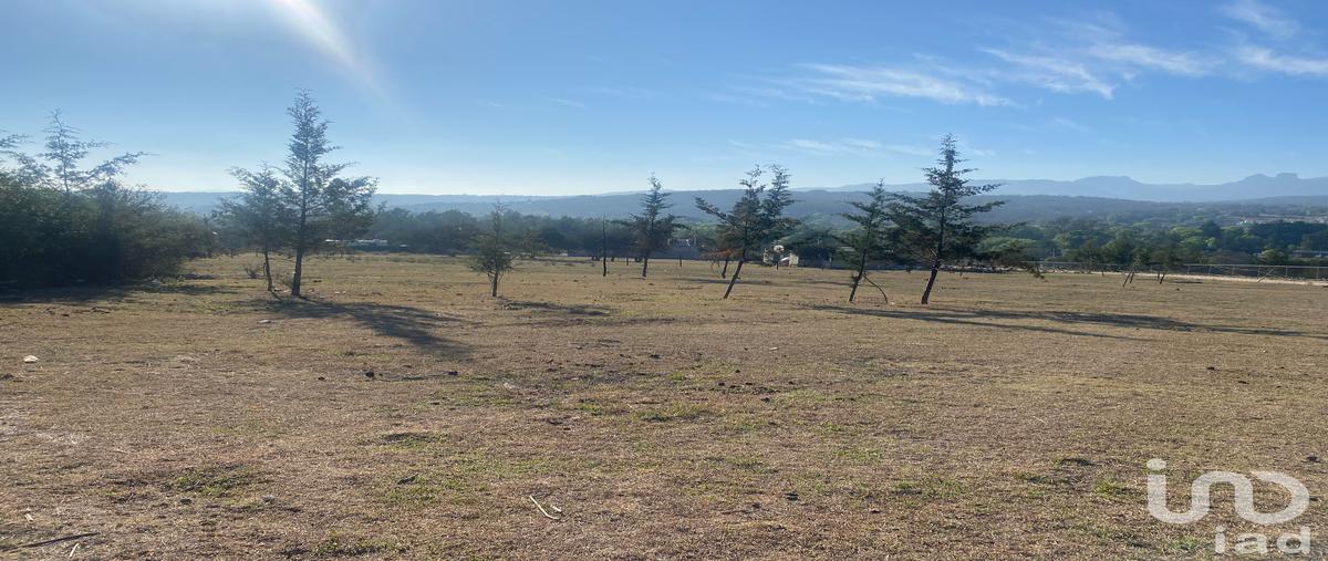 Foto de terreno habitacional en venta en domicilio conocido 116, la mora, huasca de ocampo, hidalgo, 28719899 No. 03