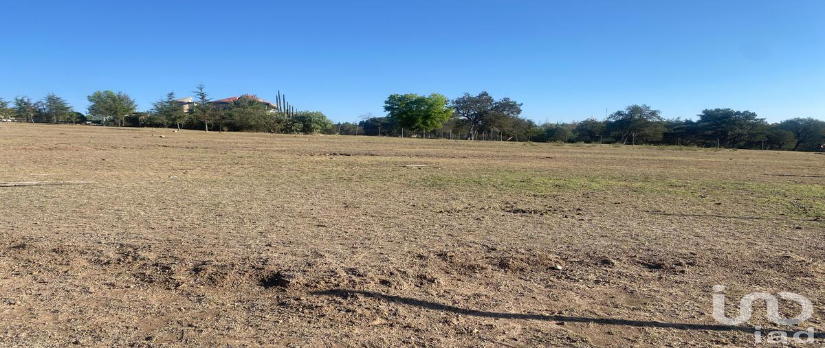 Foto de terreno habitacional en venta en domicilio conocido 116, la mora, huasca de ocampo, hidalgo, 28719899 No. 05