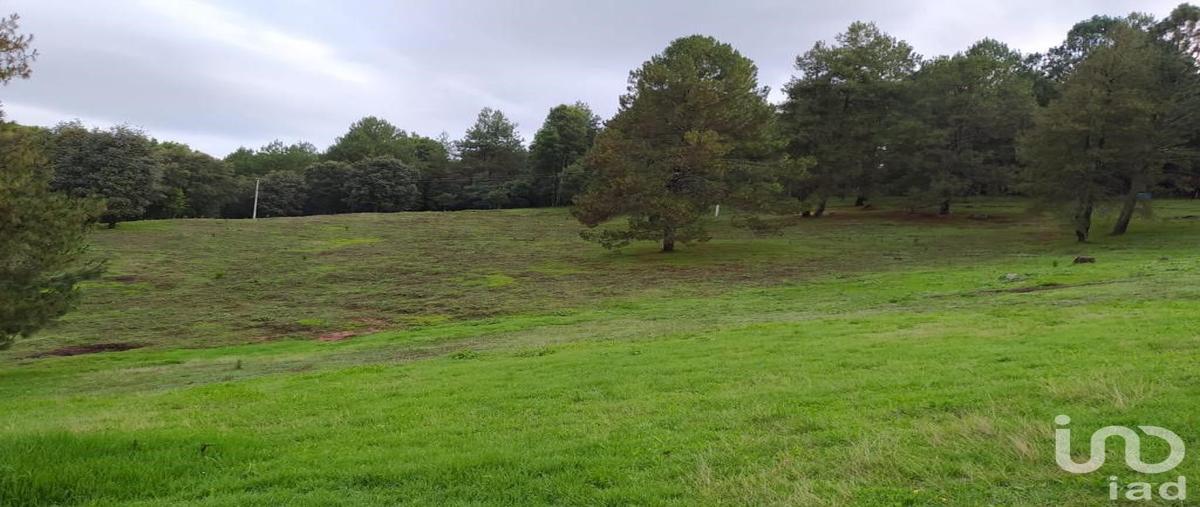 Foto de terreno habitacional en venta en domicilio conocido , avándaro, valle de bravo, méxico, 30191992 No. 03