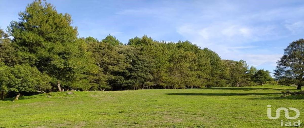 Foto de terreno habitacional en venta en domicilio conocido , avándaro, valle de bravo, méxico, 30191992 No. 05