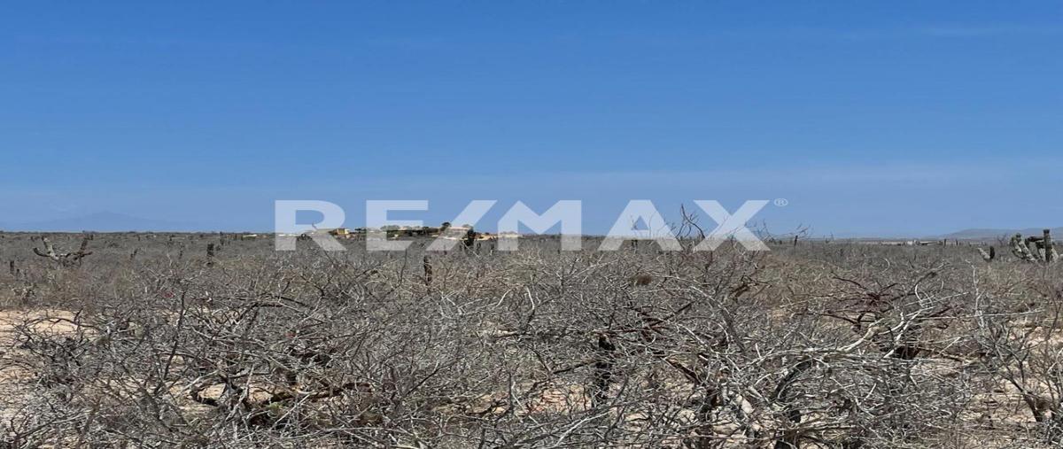 Foto de terreno habitacional en venta en domicilio conocido , el batequito, la paz, baja california sur, 0 No. 05