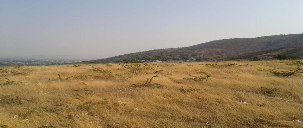 Foto de terreno habitacional en venta en domicilio conocido , higuerón, jojutla, morelos, 2536341 No. 01