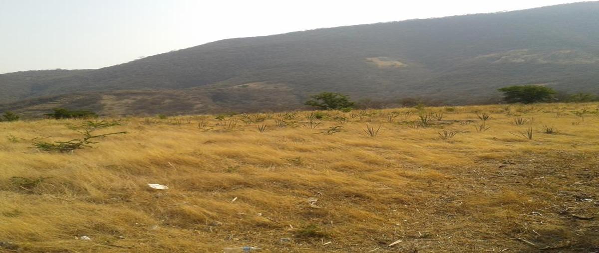 Foto de terreno habitacional en venta en domicilio conocido , higuerón, jojutla, morelos, 2536341 No. 02