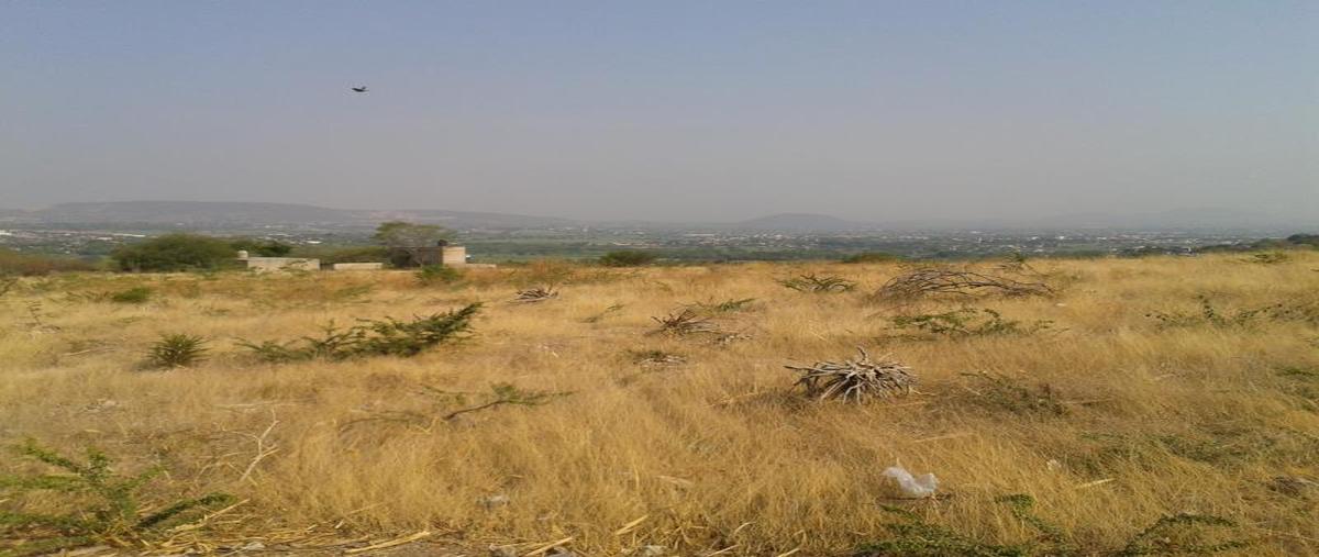Foto de terreno habitacional en venta en domicilio conocido , higuerón, jojutla, morelos, 2536341 No. 03