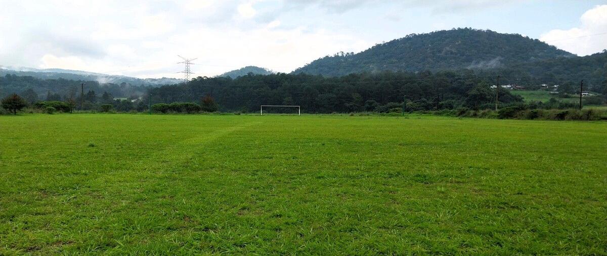 Foto de terreno habitacional en renta en domicilio conocido , la laguna, valle de bravo, méxico, 0 No. 04