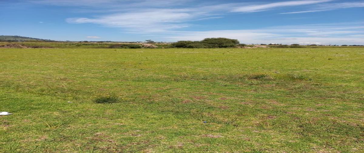 Foto de terreno habitacional en venta en domicilio conocido, la mina , rinconada de tecaxic, zinacantepec, méxico, 25424416 No. 03
