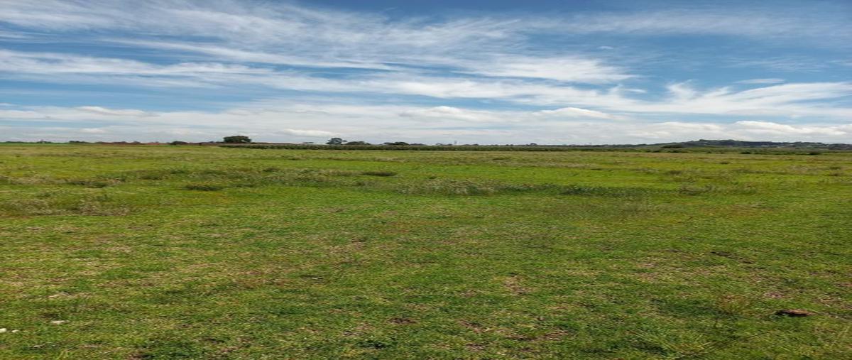 Foto de terreno habitacional en venta en domicilio conocido, la mina , rinconada de tecaxic, zinacantepec, méxico, 25424416 No. 05