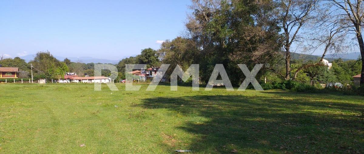 Foto de terreno habitacional en venta en domicilio conocido , mesa de jaimes, valle de bravo, méxico, 0 No. 05