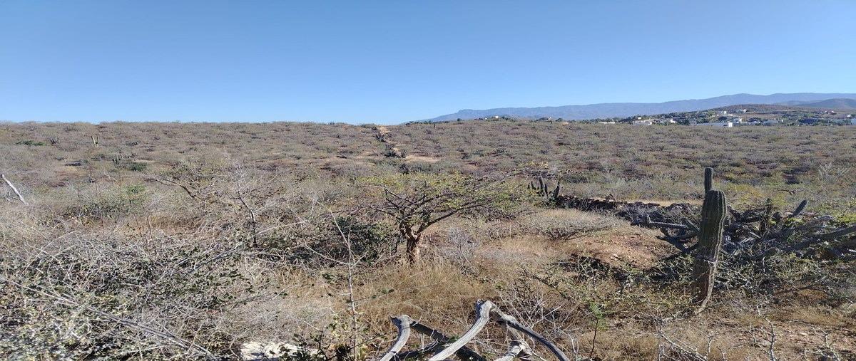 Foto de terreno habitacional en venta en domicilio conocido , pescadero, la paz, baja california sur, 0 No. 03