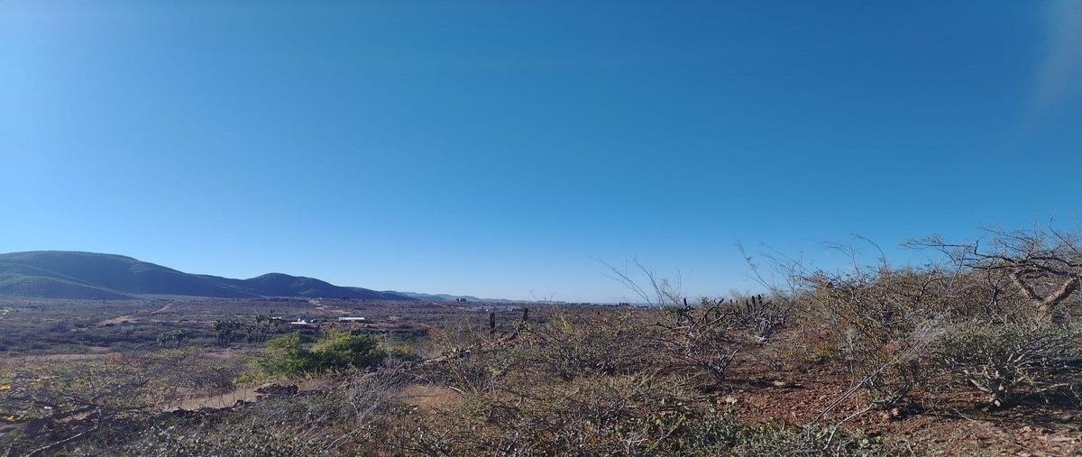 Foto de terreno habitacional en venta en domicilio conocido , pescadero, la paz, baja california sur, 0 No. 05