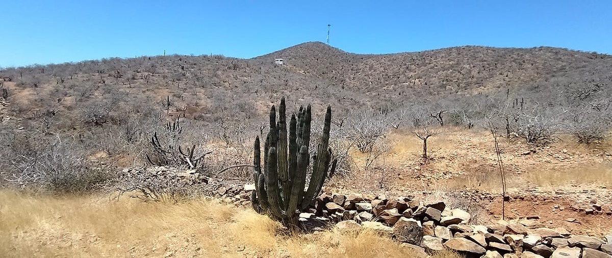 Foto de terreno habitacional en venta en domicilio conocido , pescadero, la paz, baja california sur, 0 No. 04