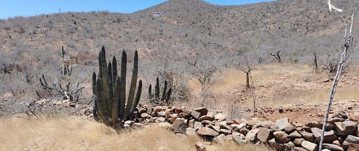 Foto de terreno habitacional en venta en domicilio conocido , pescadero, la paz, baja california sur, 0 No. 05