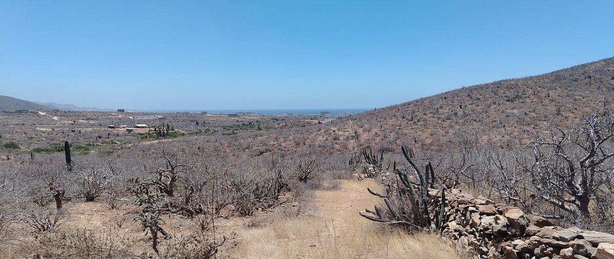 Foto de terreno habitacional en venta en domicilio conocido , pescadero, la paz, baja california sur, 0 No. 07
