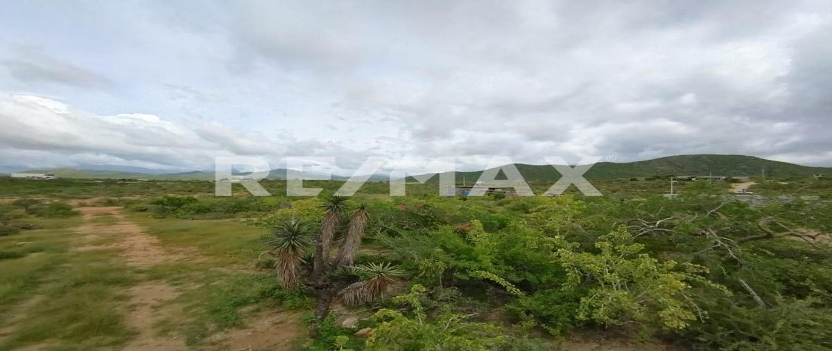 Foto de terreno habitacional en venta en domicilio conocido , pescadero, la paz, baja california sur, 0 No. 03