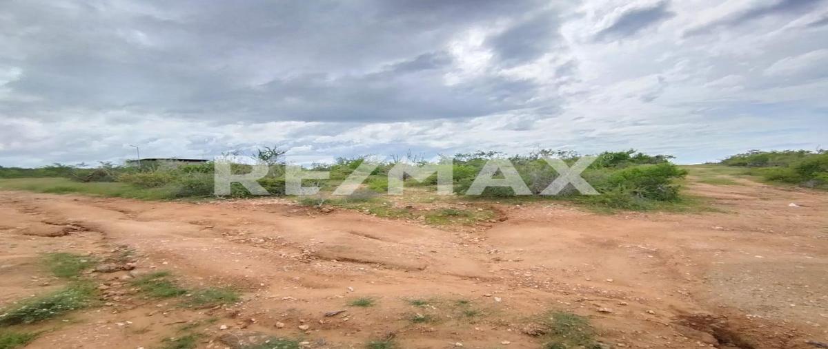 Foto de terreno habitacional en venta en domicilio conocido , pescadero, la paz, baja california sur, 0 No. 04