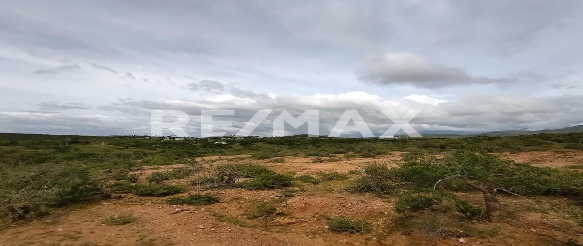 Foto de terreno habitacional en venta en domicilio conocido , pescadero, la paz, baja california sur, 0 No. 05