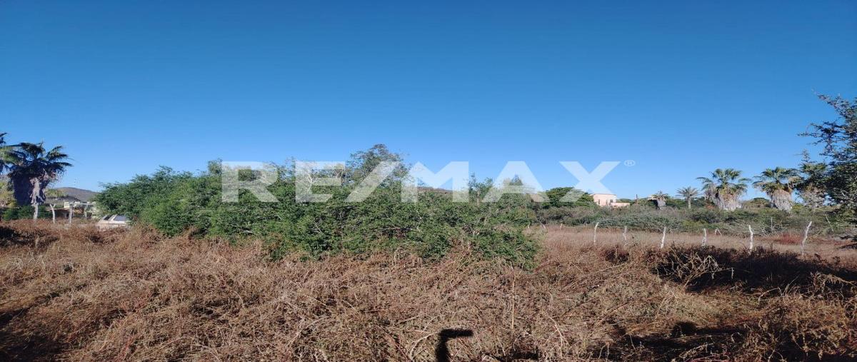 Foto de terreno habitacional en venta en domicilio conocido , pescadero, la paz, baja california sur, 0 No. 05