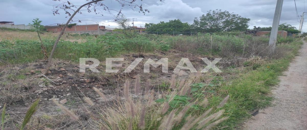 Foto de terreno habitacional en venta en domicilio conocido , purísima de san rafael, corregidora, querétaro, 0 No. 03