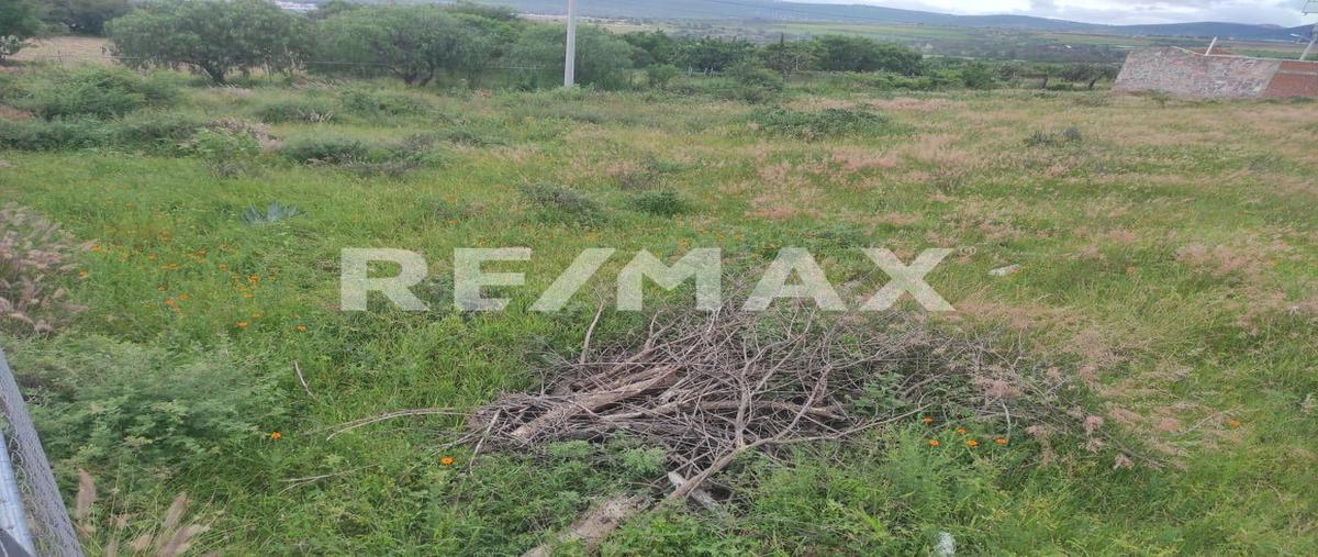 Foto de terreno habitacional en venta en domicilio conocido , purísima de san rafael, corregidora, querétaro, 0 No. 04