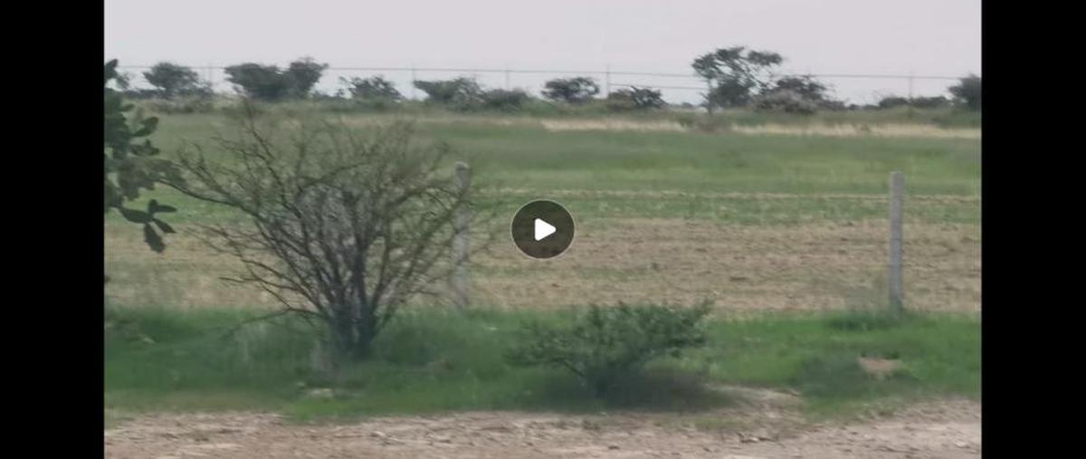 Foto de terreno industrial en venta en domicilio conocido , san antonio de peñuelas, aguascalientes, aguascalientes, 27304272 No. 05