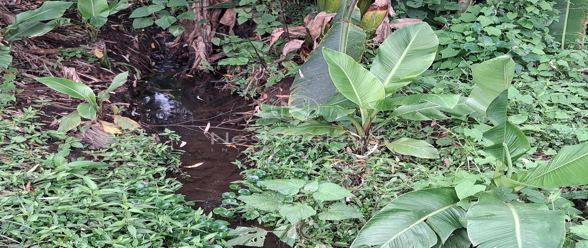 Foto de terreno habitacional en domicilio conocido , san gabriel ixtla, valle de bravo, méxico, 0 foto 01 Foto de terreno habitacional en venta en domicilio conocido , san gabriel ixtla, valle de bravo, méxico, 0 No. 01