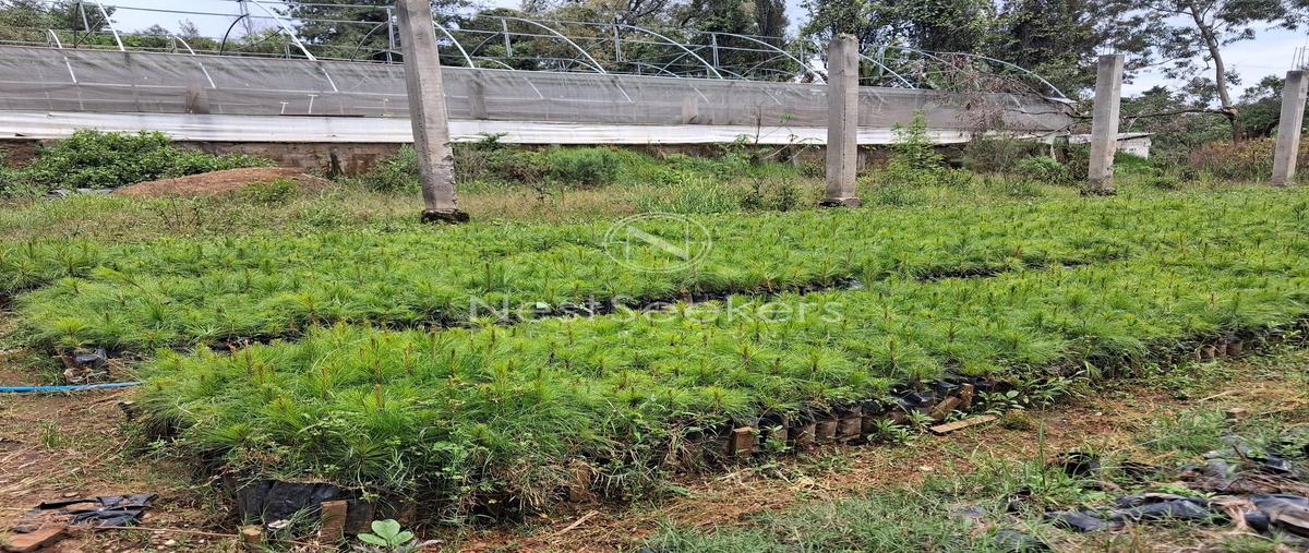 Foto de terreno habitacional en domicilio conocido , san gabriel ixtla, valle de bravo, méxico, 0 foto 02 Foto de terreno habitacional en venta en domicilio conocido , san gabriel ixtla, valle de bravo, méxico, 0 No. 02