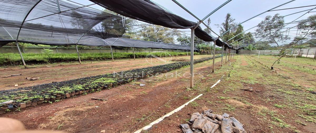 Foto de terreno habitacional en domicilio conocido , san gabriel ixtla, valle de bravo, méxico, 0 foto 04 Foto de terreno habitacional en venta en domicilio conocido , san gabriel ixtla, valle de bravo, méxico, 0 No. 04