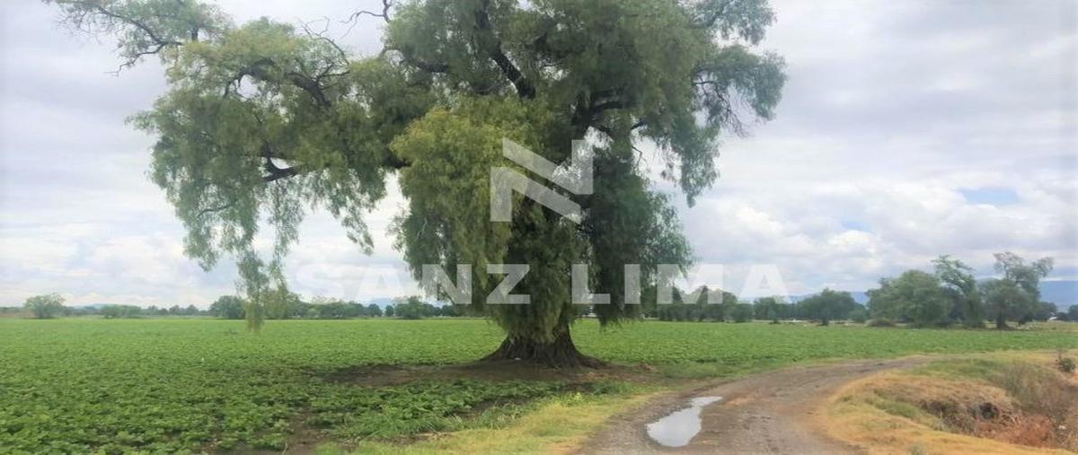 Foto de terreno habitacional en domicilio conocido , san juan de la vega, celaya, guanajuato, 17900631 foto 03 Foto de terreno habitacional en venta en domicilio conocido , san juan de la vega, celaya, guanajuato, 17900631 No. 03