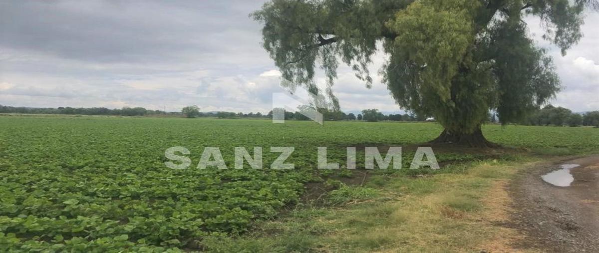 Foto de terreno habitacional en domicilio conocido , san juan de la vega, celaya, guanajuato, 17900631 foto 05 Foto de terreno habitacional en venta en domicilio conocido , san juan de la vega, celaya, guanajuato, 17900631 No. 05