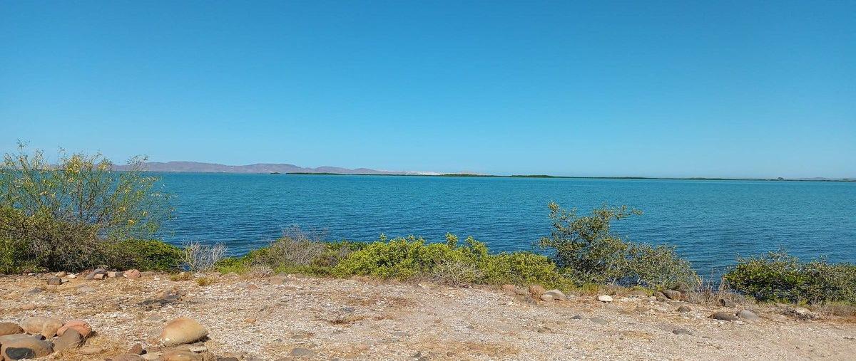 Foto de terreno habitacional en domicilio conocido , san lucas, mulegé, baja california sur, 0 foto 01 Foto de terreno habitacional en venta en domicilio conocido , san lucas, mulegé, baja california sur, 0 No. 01