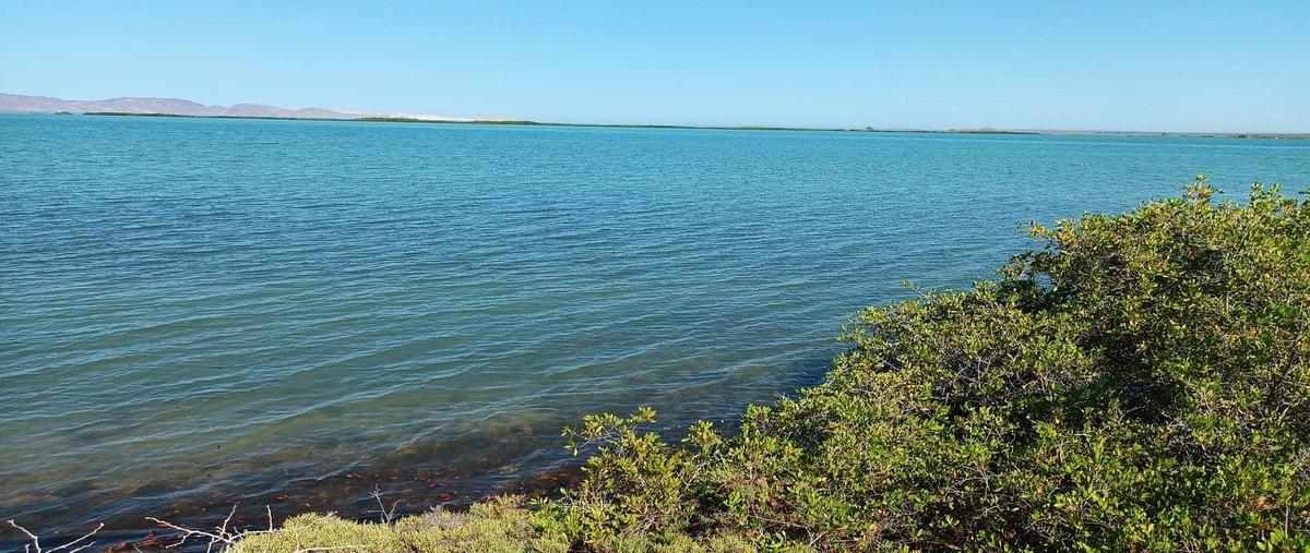 Foto de terreno habitacional en domicilio conocido , san lucas, mulegé, baja california sur, 0 foto 02 Foto de terreno habitacional en venta en domicilio conocido , san lucas, mulegé, baja california sur, 0 No. 02