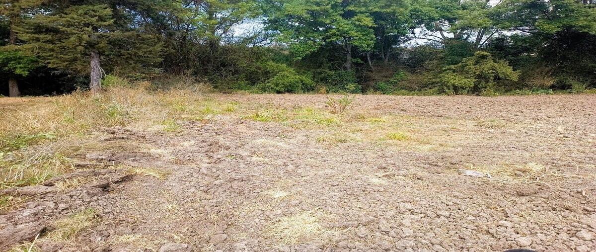 Foto de terreno habitacional en domicilio conocido , santa magdalena tilostoc, valle de bravo, méxico, 0 foto 03 Foto de terreno habitacional en venta en domicilio conocido , santa magdalena tilostoc, valle de bravo, méxico, 0 No. 03