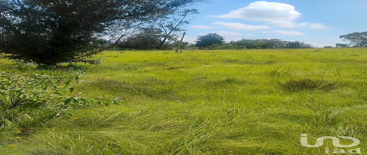 Foto de terreno habitacional en venta en domicilio conocido, santa maría centro. , santa maría nativitas, aculco, méxico, 30385688 No. 04