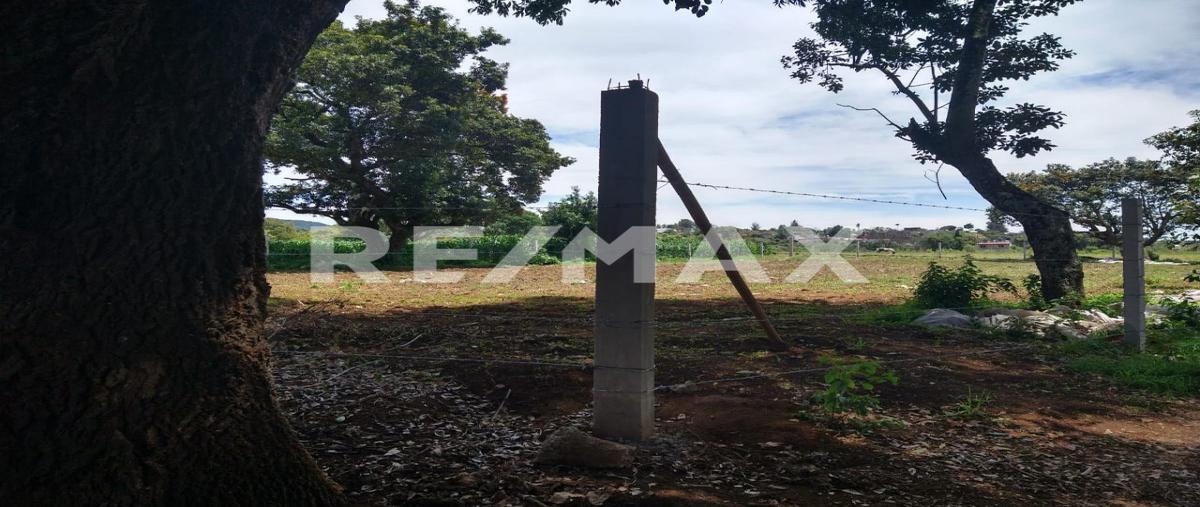 Foto de terreno habitacional en domicilio conocido , tepetzingo, tenancingo, méxico, 0 foto 01 Foto de terreno habitacional en venta en domicilio conocido , tepetzingo, tenancingo, méxico, 0 No. 01