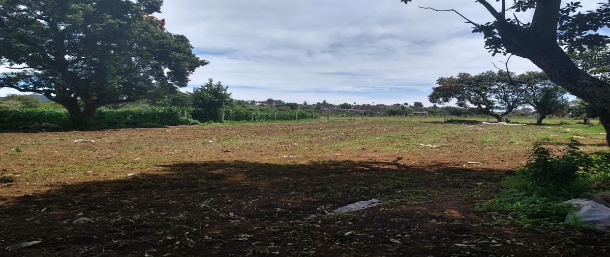 Foto de terreno habitacional en venta en domicilio conocido , tepetzingo, tenancingo, méxico, 27528296 No. 03