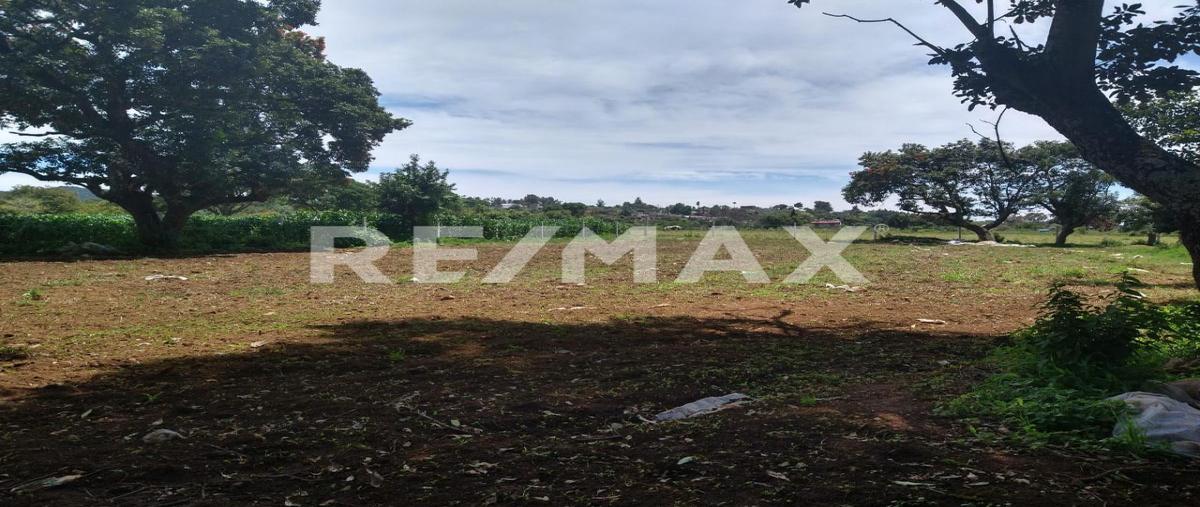 Foto de terreno habitacional en domicilio conocido , tepetzingo, tenancingo, méxico, 0 foto 03 Foto de terreno habitacional en venta en domicilio conocido , tepetzingo, tenancingo, méxico, 0 No. 03