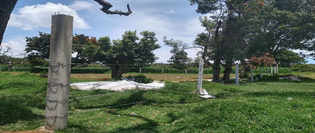 Foto de terreno habitacional en venta en domicilio conocido , tepetzingo, tenancingo, méxico, 27528296 No. 04