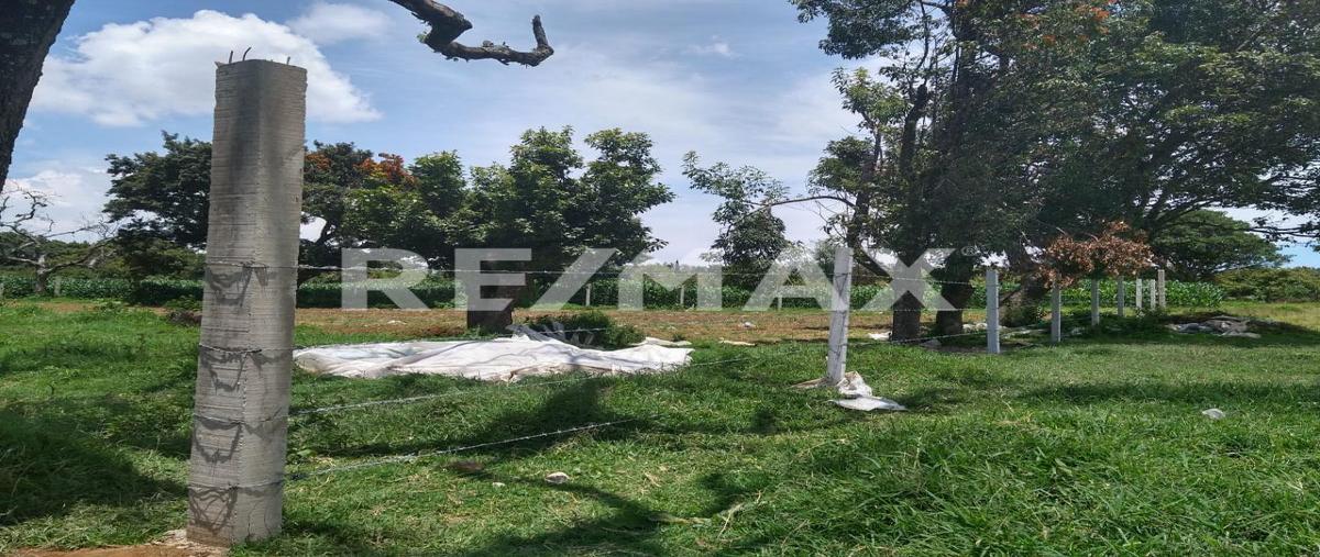 Foto de terreno habitacional en domicilio conocido , tepetzingo, tenancingo, méxico, 0 foto 04 Foto de terreno habitacional en venta en domicilio conocido , tepetzingo, tenancingo, méxico, 0 No. 04