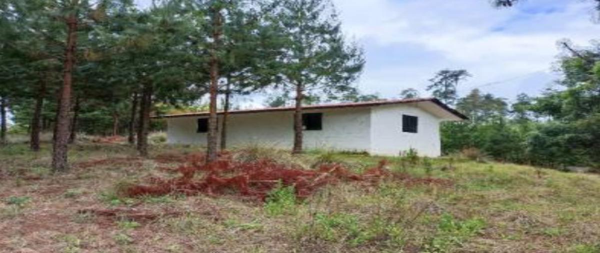 Foto de terreno comercial en venta en domicilio conocido , tepoxcuautla, zacatlán, puebla, 25384535 No. 05