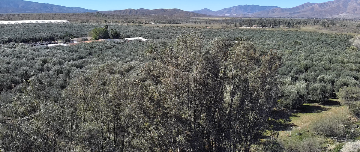 Foto de terreno habitacional en venta en domicilio conocido , valle de las palmas, tecate, baja california, 0 No. 03
