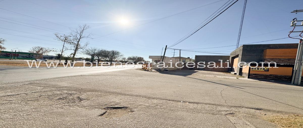 Foto de local en renta en  , don antonio, piedras negras, coahuila de zaragoza, 30671096 No. 03