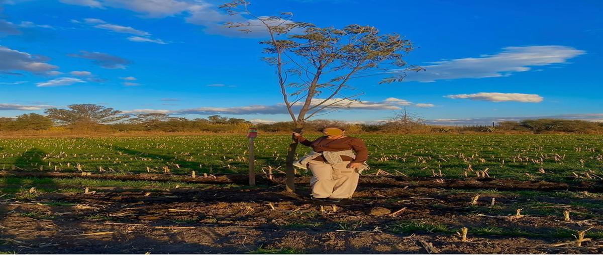 Foto de terreno habitacional en venta en don chepe , don chepe, san miguel de allende, guanajuato, 0 No. 04